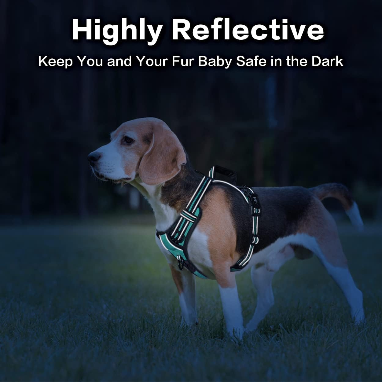 PoyPet No Pull Dog Harness, No Choke Front Clip Reflective Dog Vest with Soft Padded Vertical Handle, 3 Leash Attachments for Small Medium Large Dogs (Mint Blue,M)