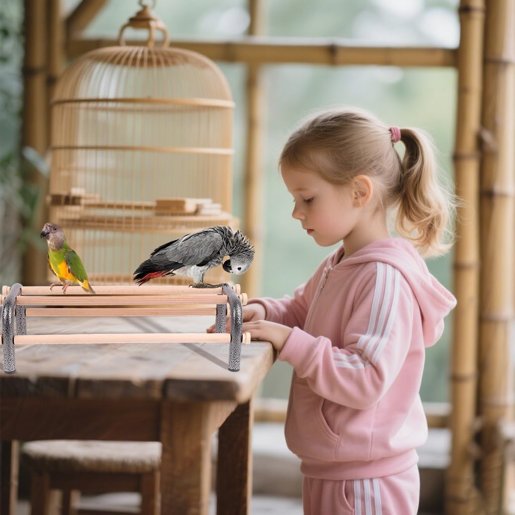 Large Bird Training Perch Long Stand for African Grey Macaw Big Birds, Rustproof Metal Durable Heavy Duty Metal Frame with 4 Wooden Bars for Bird to Play Climb and Exercise Toy