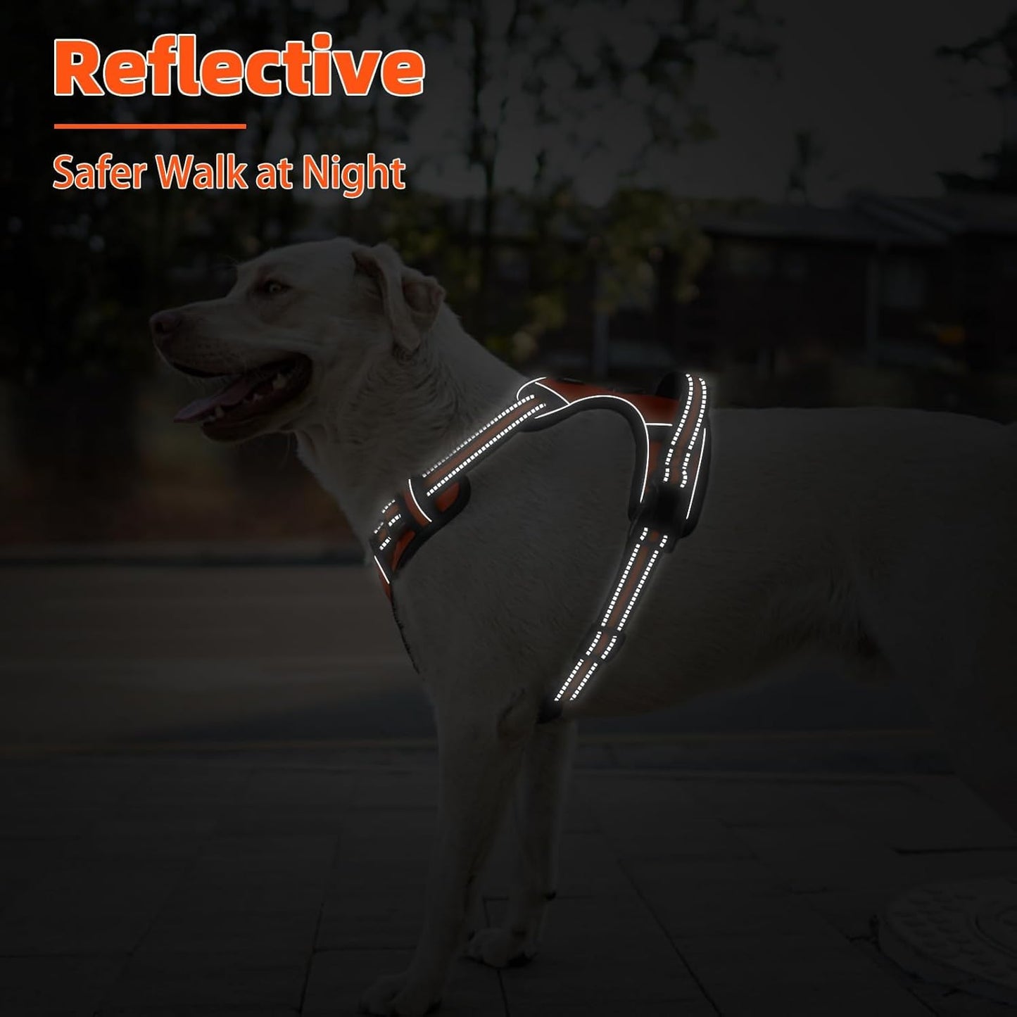 PUPTECK No Pull Dog Harness Medium Sized, Adjustable Reflective Dog Harness with Handle Easy Control, Comfortable Soft Padded Pet Vest Harness for Medium Dogs, Orange M