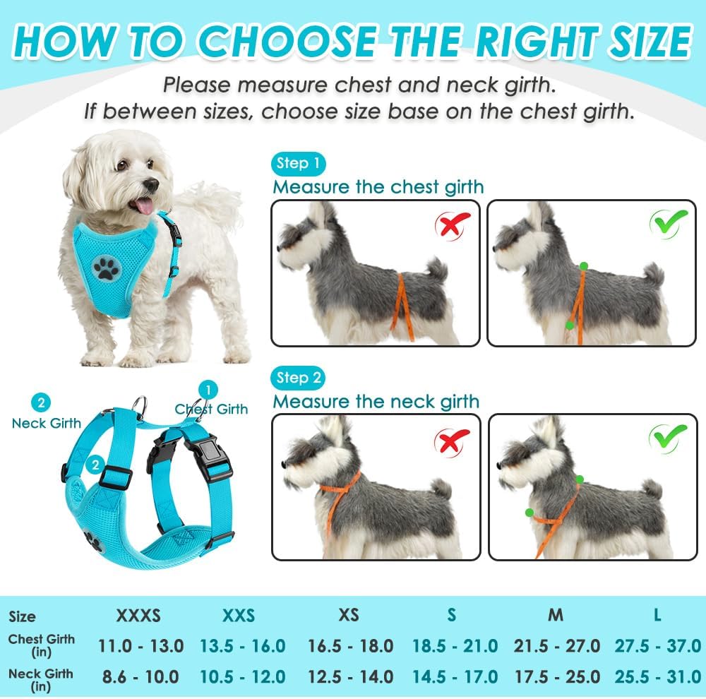 SlowTon Dog Seat Belt Harness for Car, Dog Car Harness Adjustable Mesh Breathable & Dog Seatbelt Safety Tether with Elastic Bungee for Small Medium Large Pets(Light Blue, Double Clip, L)