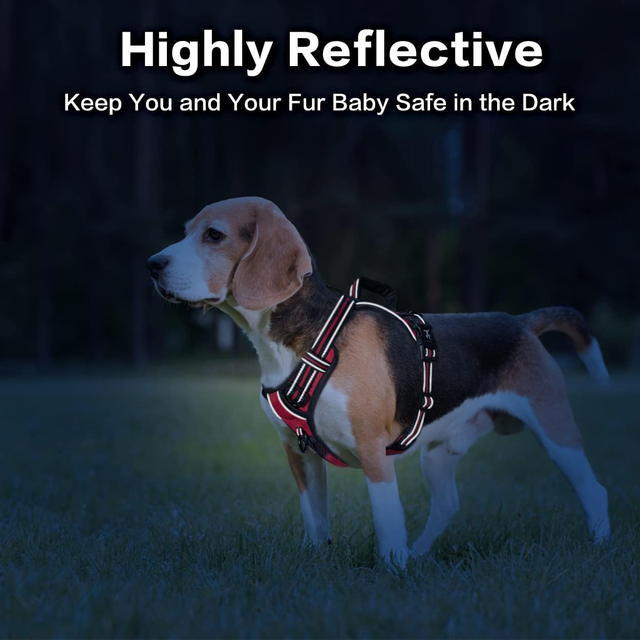 PoyPet No Pull Dog Harness, No Choke Front Clip Reflective Dog Vest with Soft Padded Vertical Handle, 3 Leash Attachments for Small Medium Large Dogs (Red,S)