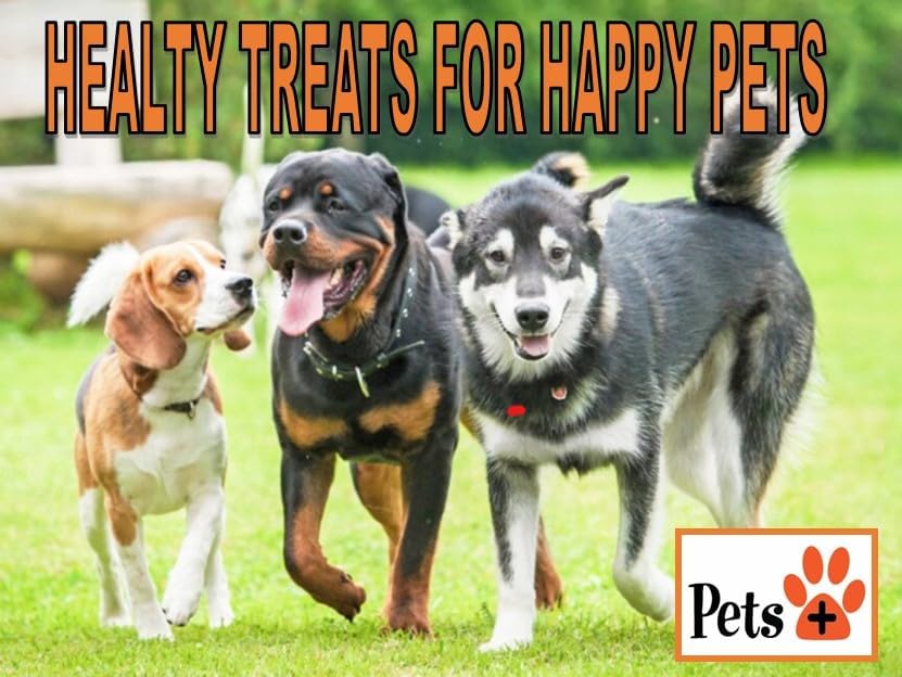 Pets Plus Premium Dog Treats β Venison Jerky, 5 Pack | All-Natural, High-Protein Dog Chews, Grain-Free Healthy Treats for Training, Rewards & Dental Support