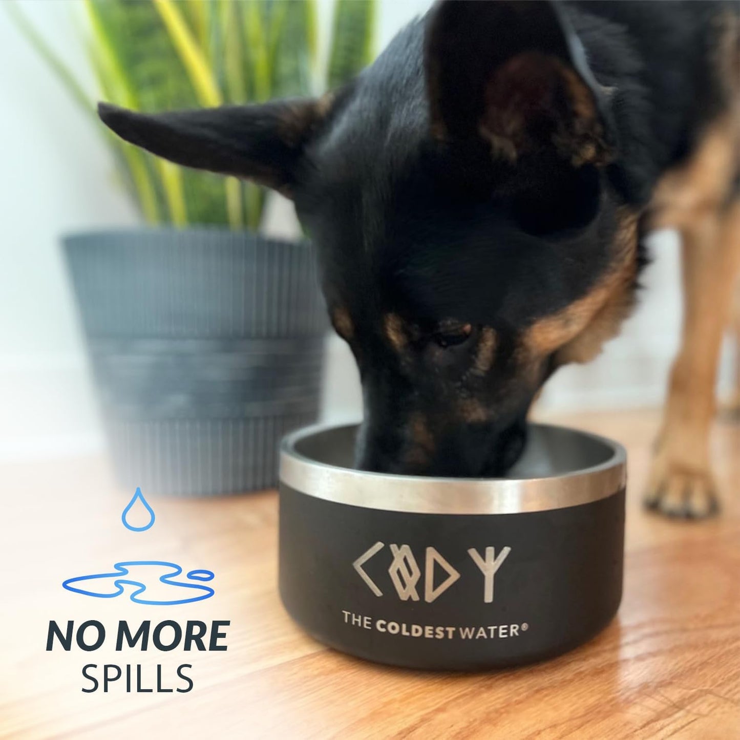 Coldest Dog Bowl - Anti Rust Metal, Non Slip, 3 Layers Insulated Stainless Steel Dog Bowls - Spill Proof & Heavy Duty - Water Bowl for Dogs, Cats & Pets, Dish Washer Safe (21 oz, Red)