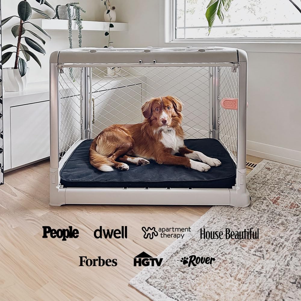 DIGGS Revol Collapsible Dog Crate with Wheels - Premium Portable Dog Crate - Safe, Stylish, and Convenient Indoor Kennel (Ash, Intermediate)