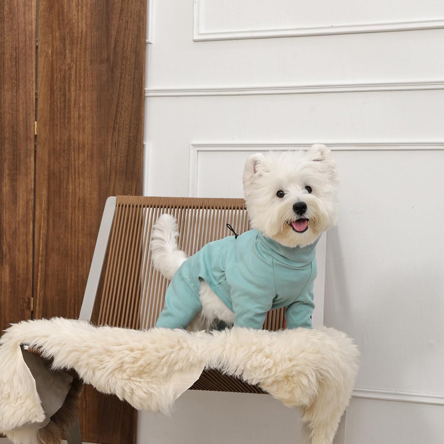 Medium Dog Pajamas with Back Zipper & Adjustable Drawstrings, Soft Dog Onesie Pjs, Easy On/Off Comfy Anti-Licking Dogs Outfits Jammies Shedding Suits, Beagle, Springer Spaniel, Green L