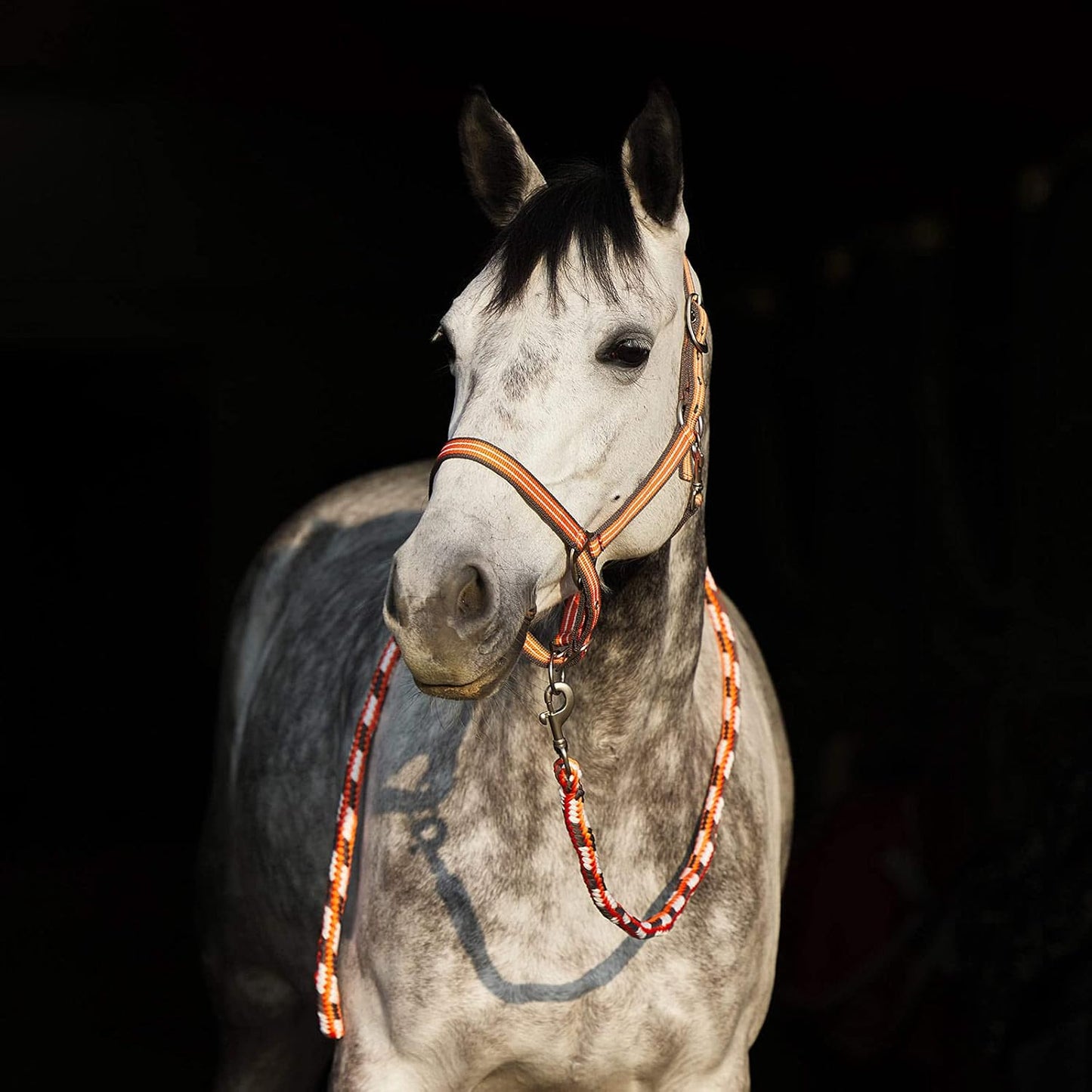 HORZE Adepto Adjustable Horse Halter | Soft, Durable Polyester - Coral Gold - Horse
