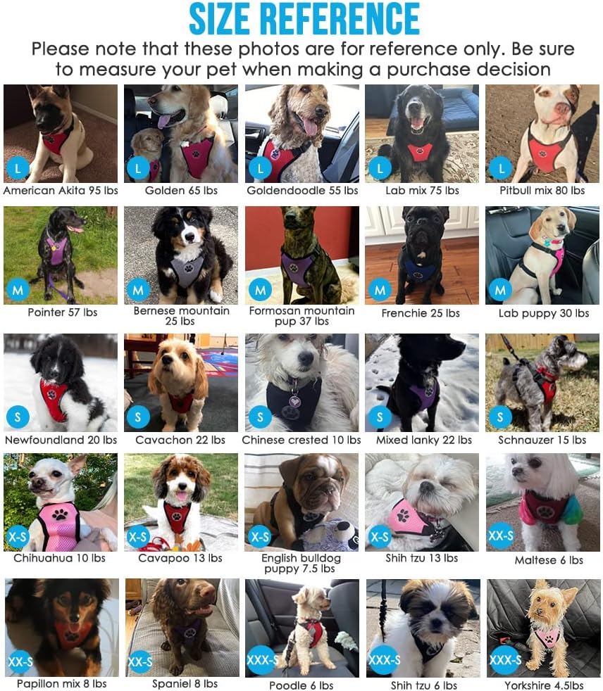 Lukovee Dog Seat Belt for Car, Adjustable Dog Car Harness for Large Medium Small Dogs, Soft Padded & Breathable Mesh Dog Seatbelt with Car Strap and Carabiner(Lime Green Double Clip,Large)