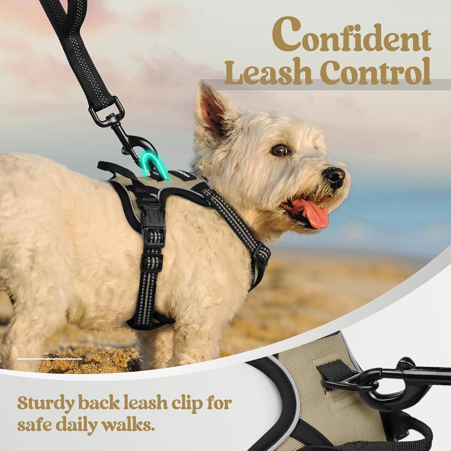 rabbitgoo Dog Harness No Pull with 2 Leash Clips, Adjustable Soft Padded, Reflective Oxford No Choke Pet Vest with Easy Control Handle for Puppy, Beige, XS