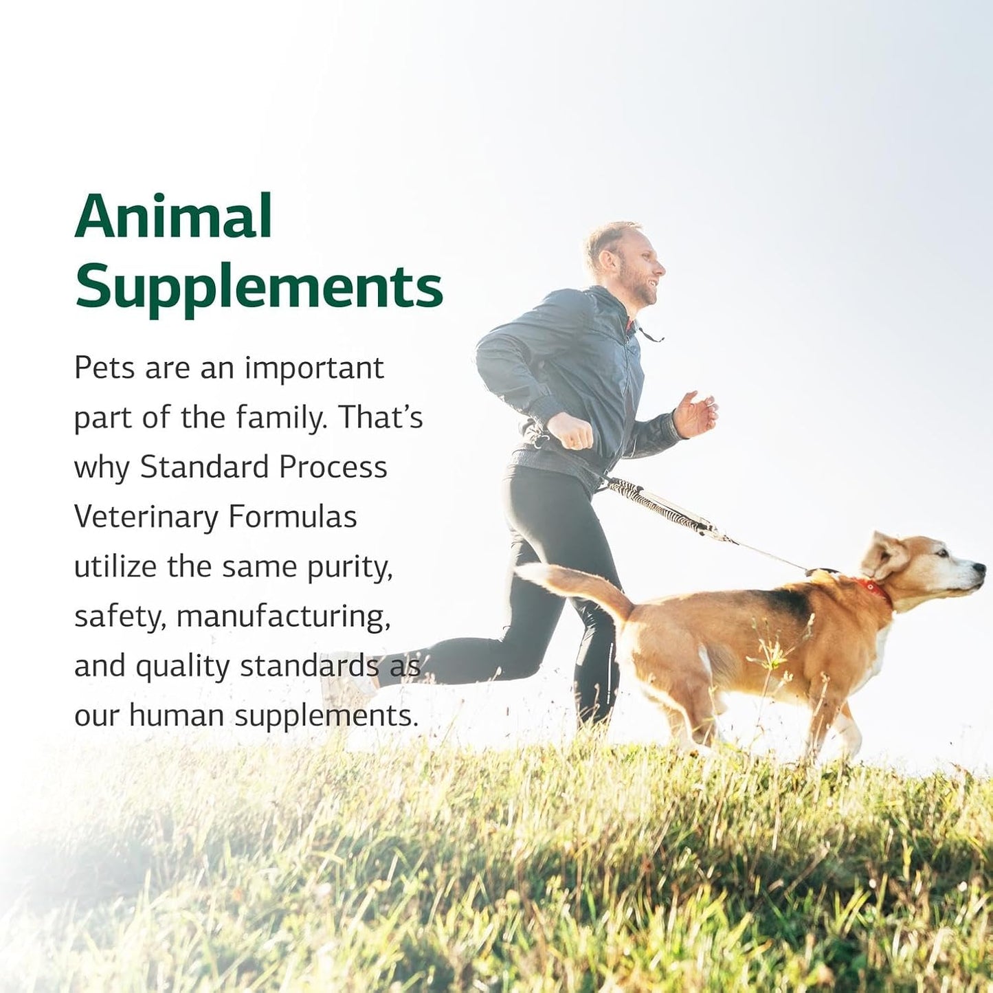 Standard Process Inc. Canine Whole Body Support - Multisystem Support Supplement for Canines - Nutritional Powder for Daily Health Maintenance - Multisystem Supplement Formula - 100 g