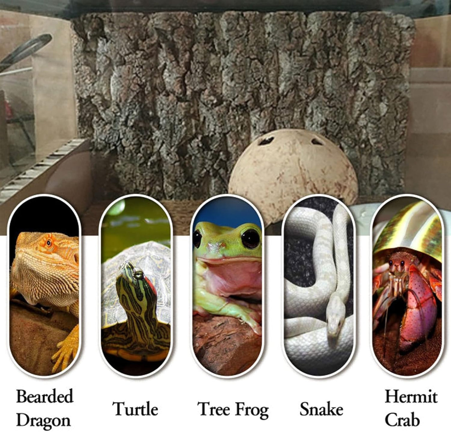 BNOSDM Reptile Cork Bark Tank Background Lizard Terrarium Wall Decor for Bearded Dragon Frog Leopard Gecko Tortoise Snake Chameleon 2PCS
