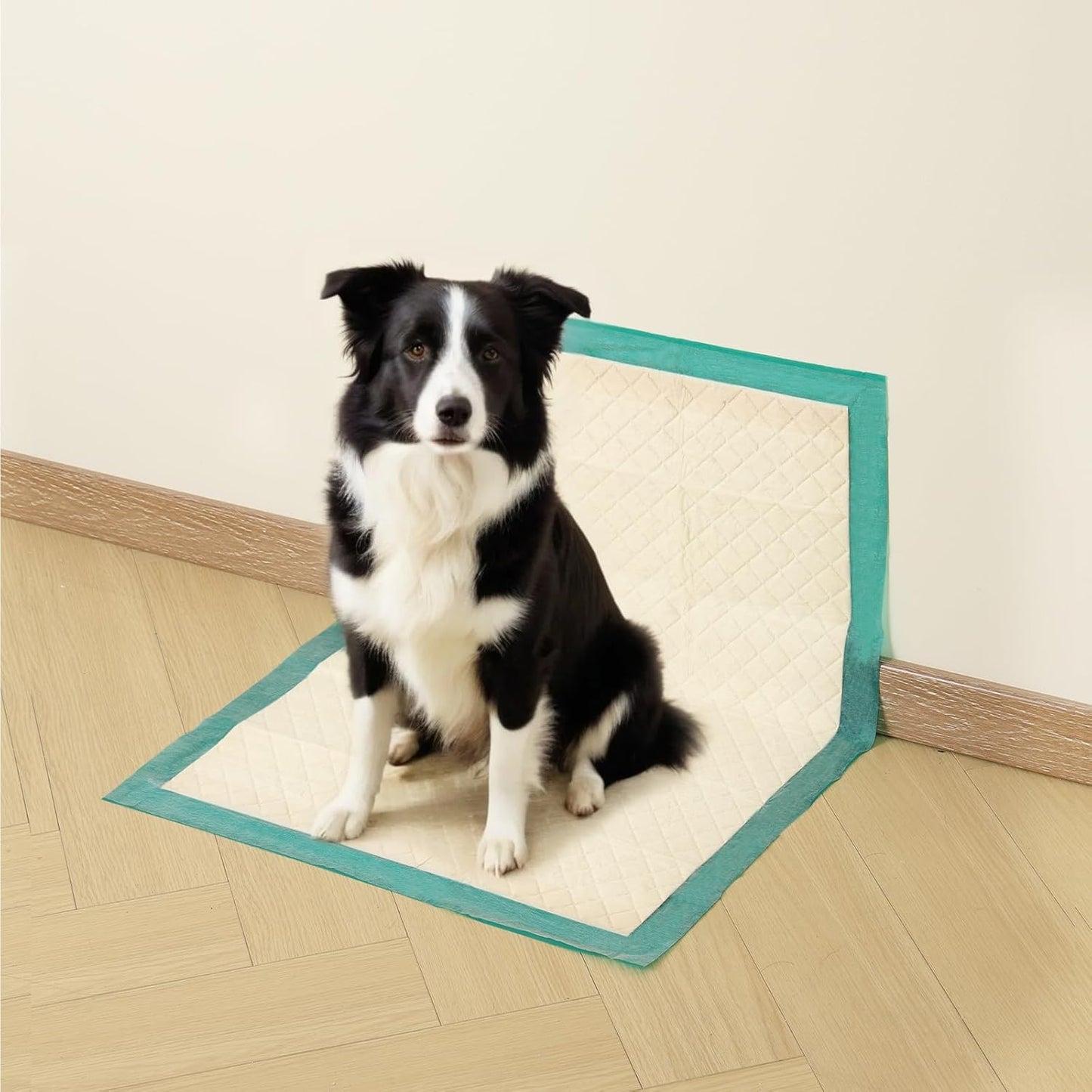 Gardner Pet Dog Pee Pads Extra Large 22"x37", 30 Count, Puppy Pee Pads with Adhesive Sticky Tape, Leak Prevention Disposable Training Bed Pads for Doggie, Cat, Rabbit, Suitable for Crate/Cage