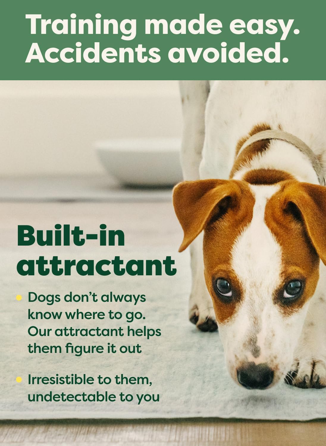 Earth Rated Max Absorbency Puppy Pee Pads for Dogs Absorbs 2X Faster & 2X More, Leak-Proof Odor-Free Potty Training Wee Wee Pad, Unscented, 3XL, 36” x 36”, 24 Count