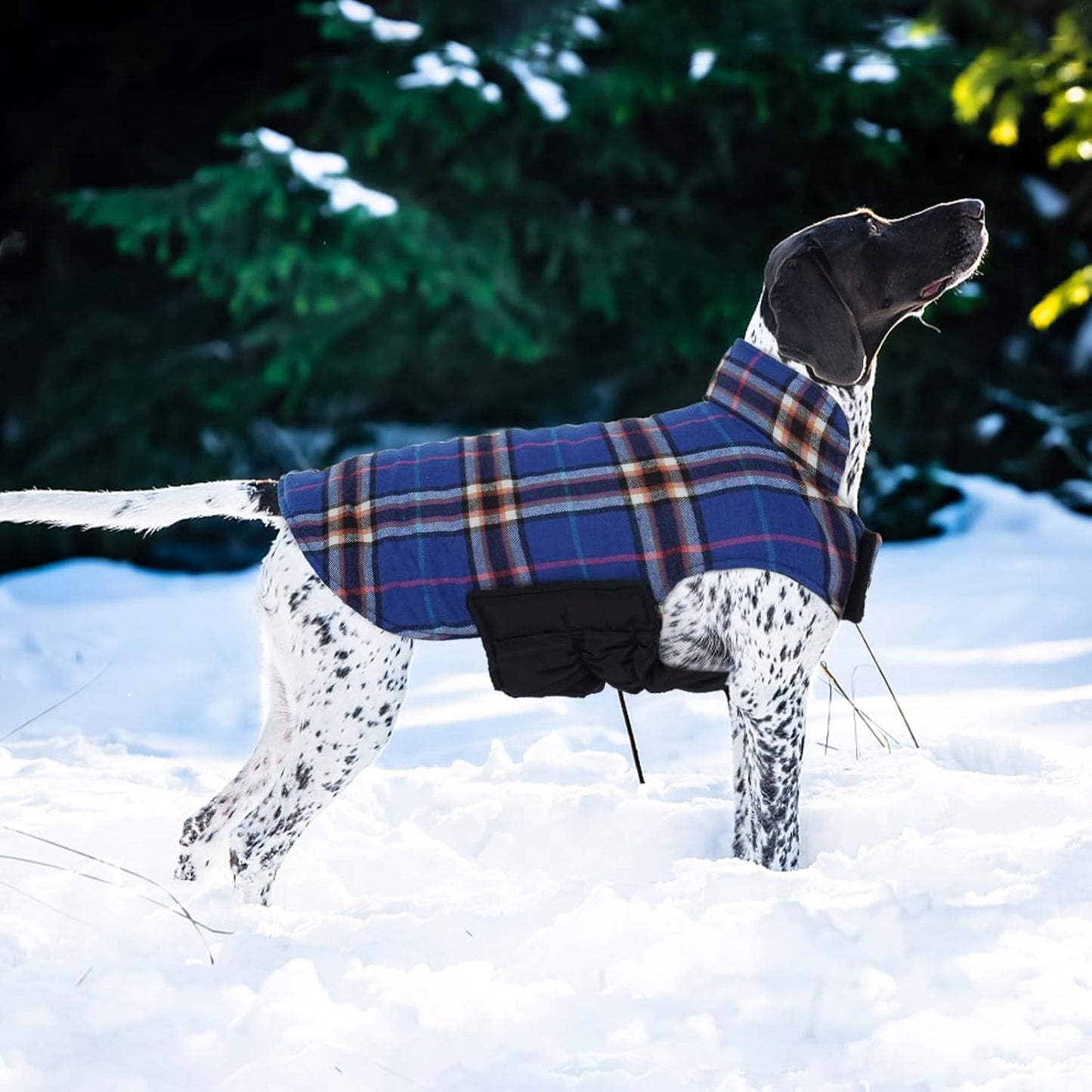 Kuoser Warm Dog Coat, Waterproof Dog Jacket for Extra Large Dogs, Adjustable Durable XXL Doggie Winter Coat Reversible Puppy Cold Weather Apparel from Small to Large Breed, Navy XXL