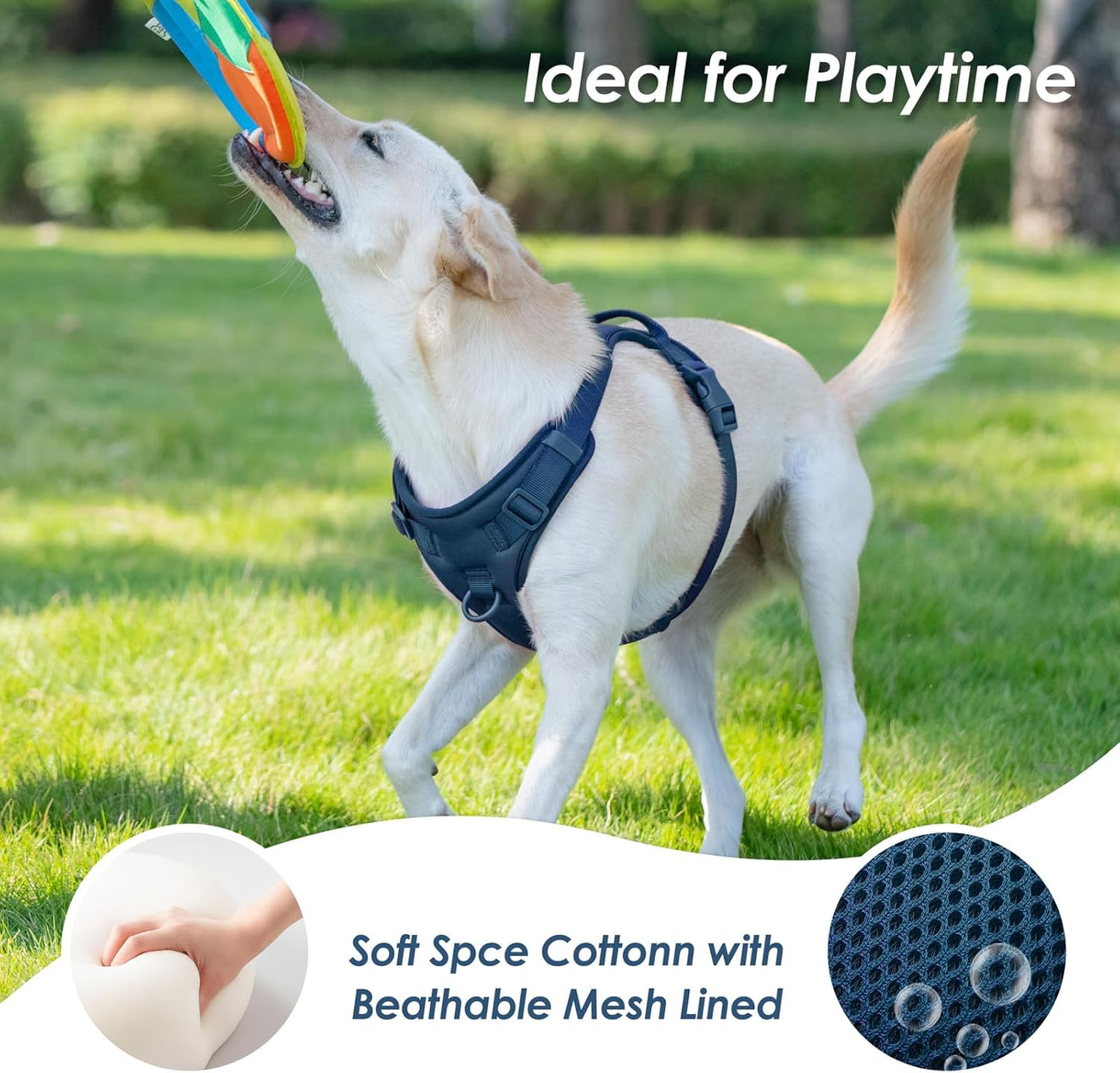 No Pull Dog Harness, Puppy Vest with Front Clip for Small Medium Large Sized Dog(Prussian Blue,L)