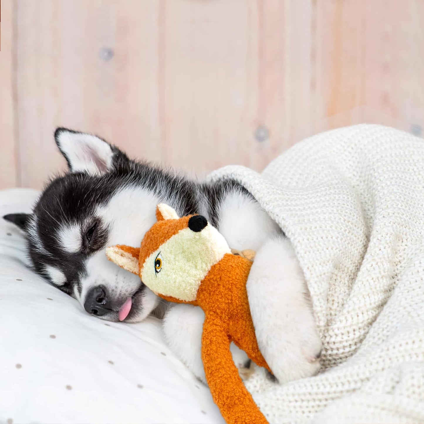 3 Pack No Stuffing Crinkle Squeaky Interactive Plush Dog Toys for Aggressive Chewers to Keep Puppy Busy for Boredom Small & Medium Breeds Furry Friend Teething Orange Fox Pink Pig Blue Hippo