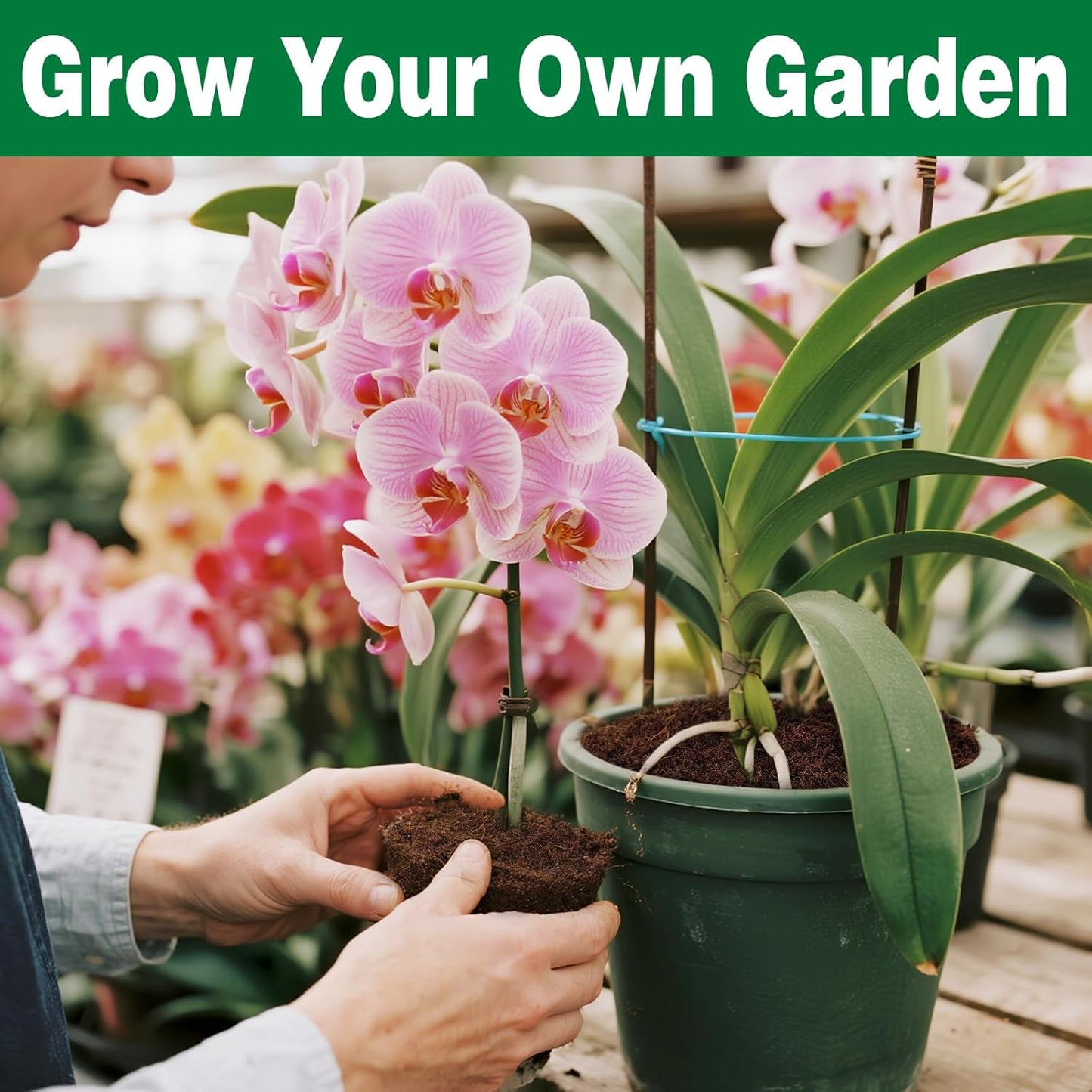 ZeeDix 4 Pcs Premium Coco Coir Brick - 100% Organic Compressed Coconut Coir Starting Mix, Coco Fiber with Low EC and PH Balance for Gardening, Potting Soil, Herbs