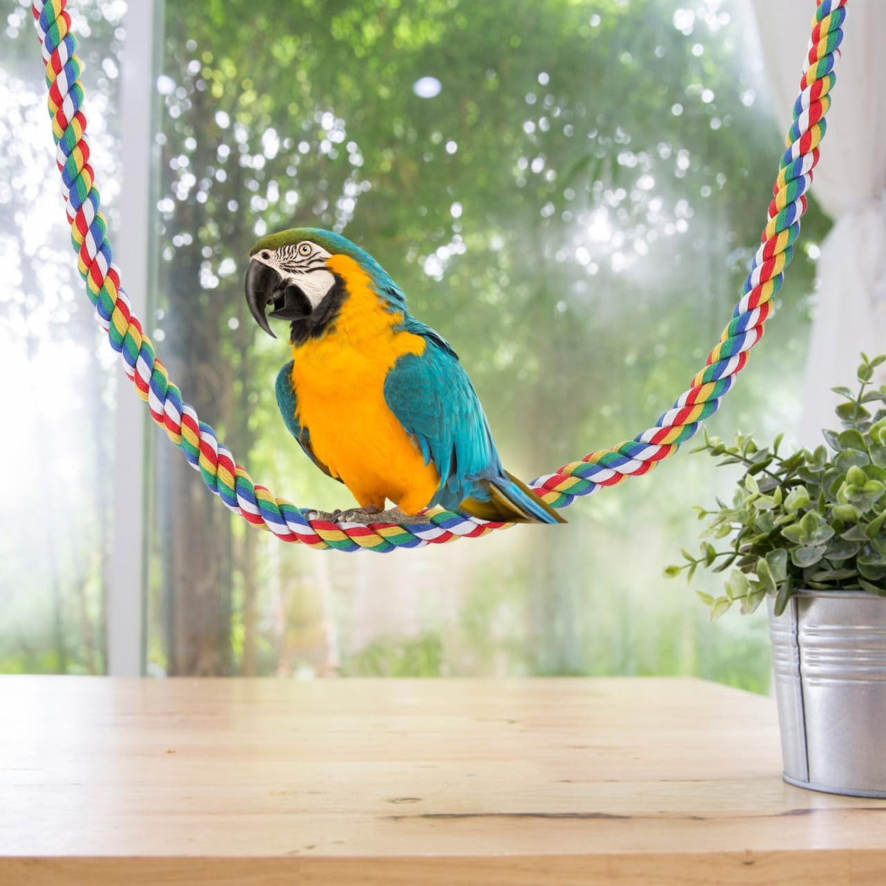 Bird Rope Perch, Colorful Parrot Cotton Rope Bird Perch Stand Climbing Toys Pet Parrot Chewing Toy for Parrots Cockatiels Parakeets Budgie Cages