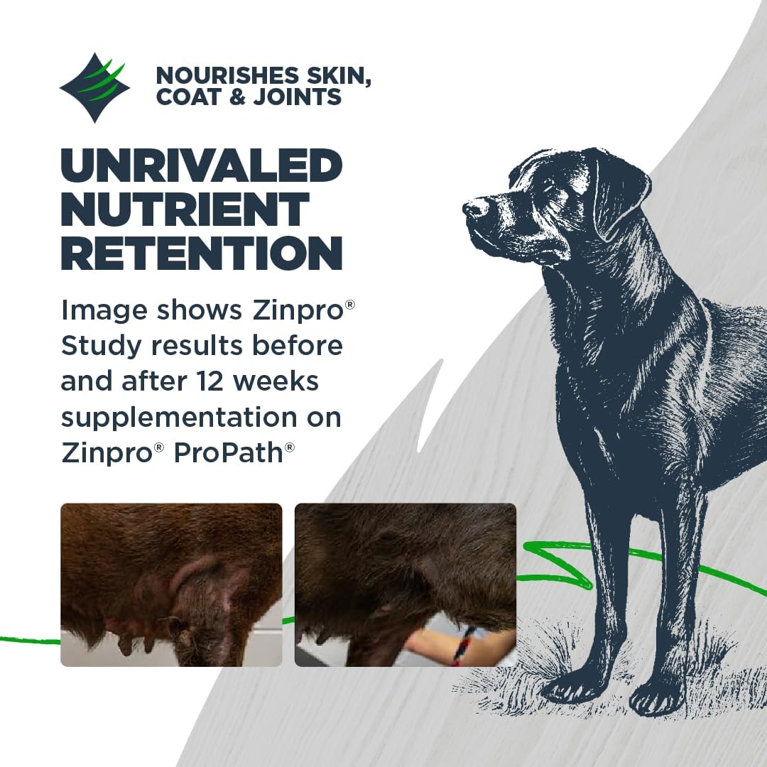 Blackwood Grain Free Small Breed Dry Dog Food, Turkey & Lentils Recipe, 4.5 Pound Bag for All Life Stages, Slow Cooked with Taurine and Fish Oil to Promote Heart Health