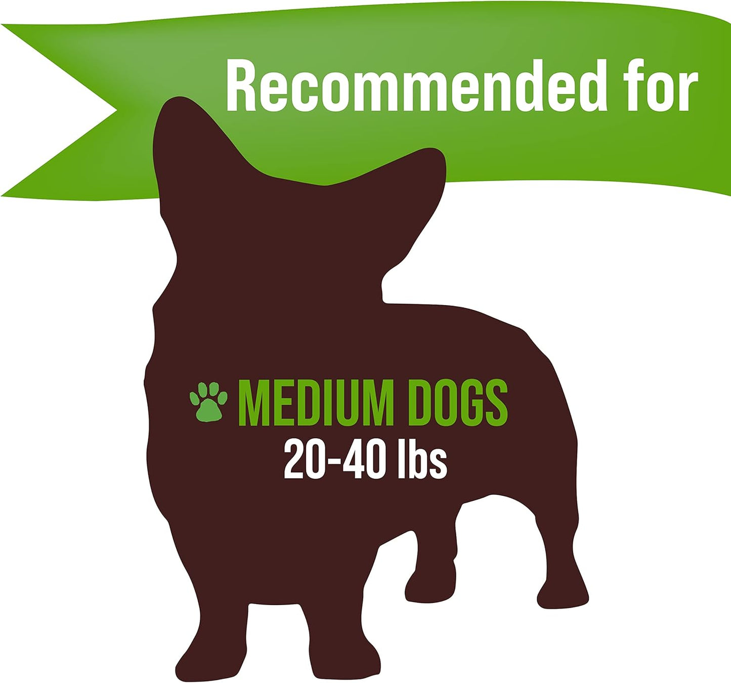 Buck Bone Organics Dog Chews, Antlers for Dogs, Premium Natural Elk, Long Lasting Dog Bones for Aggressive Chewers, No Preservatives, Wild Shed in The USA Medium