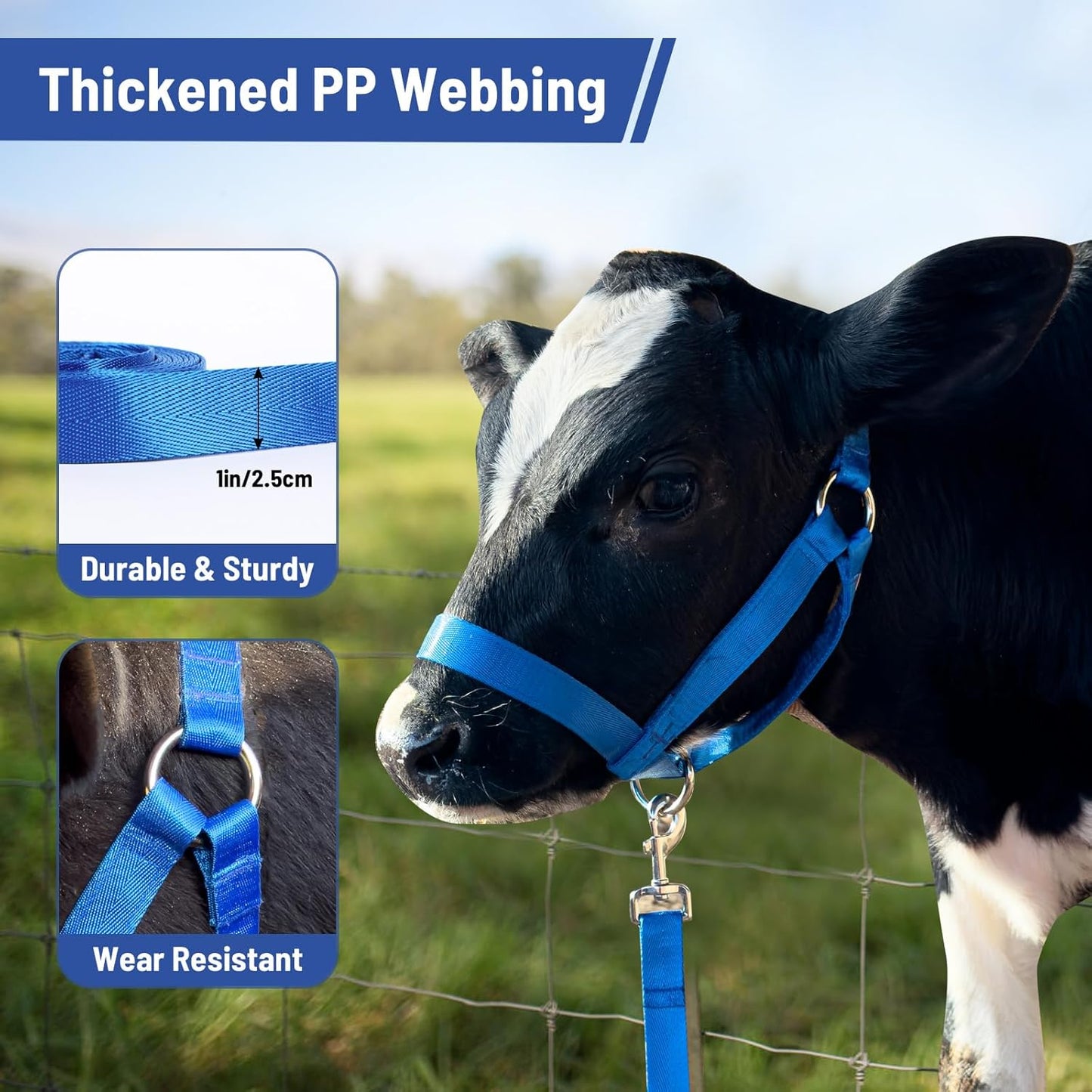 XUANNIAO Easily Adjustable Figure 8 Cow Halter, Double-Ply Premium Livestock Cattle Halters, Colorful Cow Utility Calf Halter with Leading Rope for Miniature Horse Donkey Goat Foal (Large, Blue)