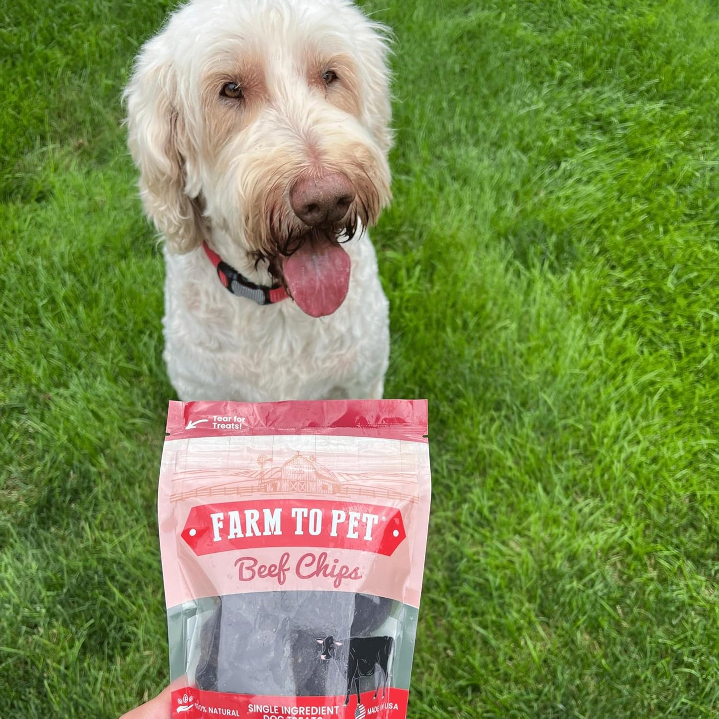 Farm To Pet - Dog Training Treats - 4 oz Beef Chips, Single Ingredient, Lean, All Natural, Healthy Treats for Small, Medium, Large Dog Breeds, & Puppies, Made in USA