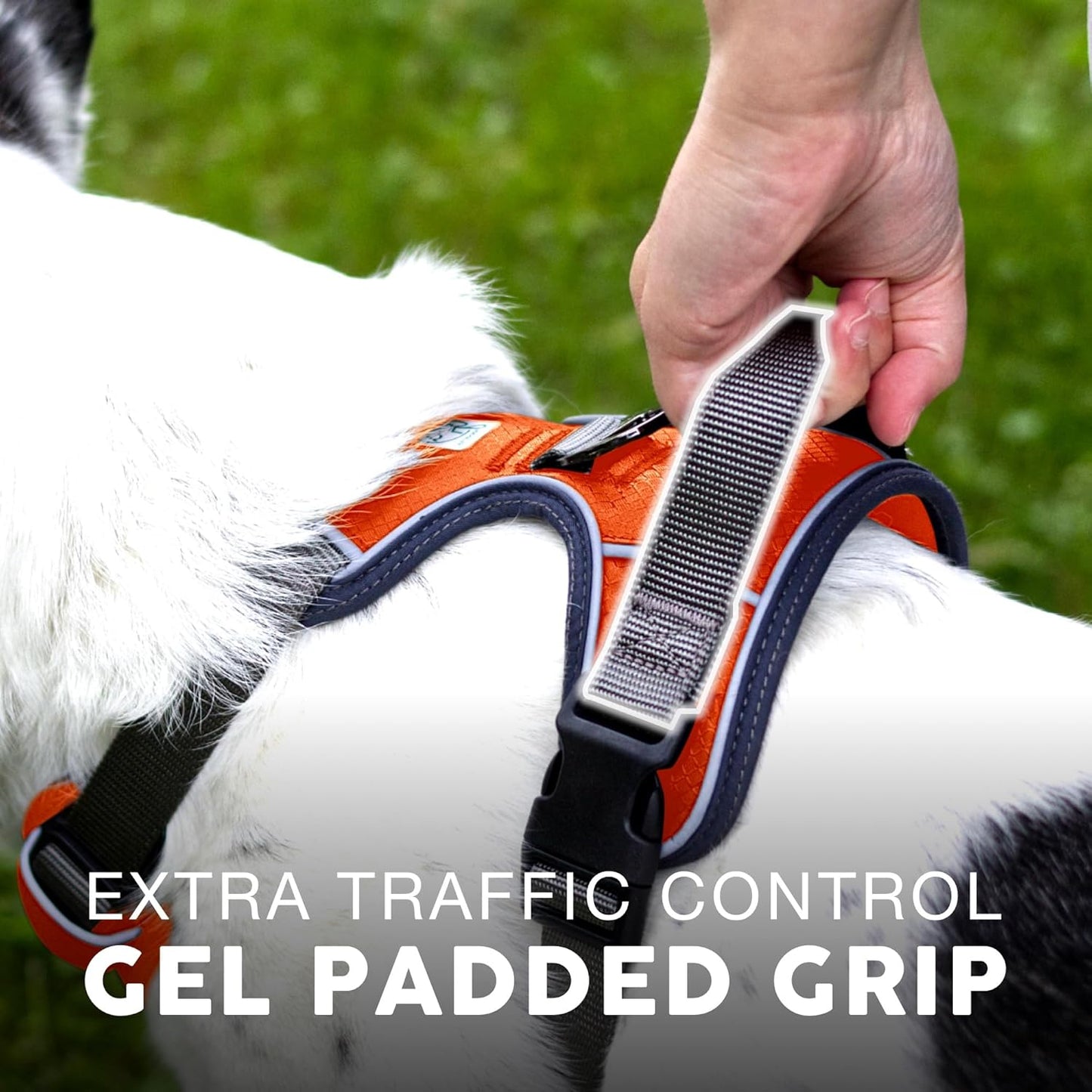 Embark Adventure Dog Harness, Reflective Trim XL for Extra Large Dogs No Pull - Military Grade Nylon, 2 Leash Clips & Gel Lined Handle. Soft & Padded Puppy Dog Harnesses for Any Breed