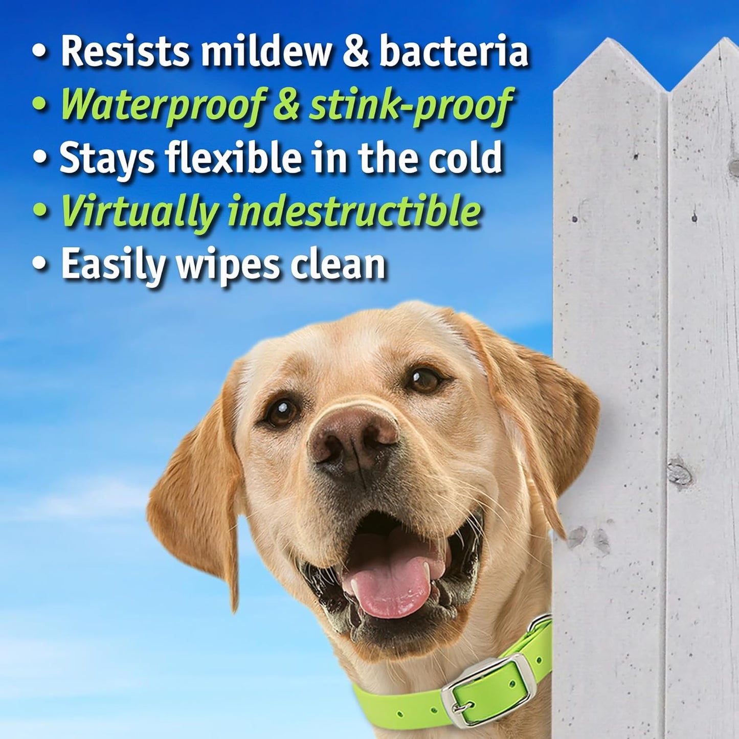 Biothane Custom Dog Collar – Waterproof, Stink-Proof Personalized Collar with Name & Phone Number – Durable, Many Sizes and Colors – Assembled in USA (Amethyst Purple)