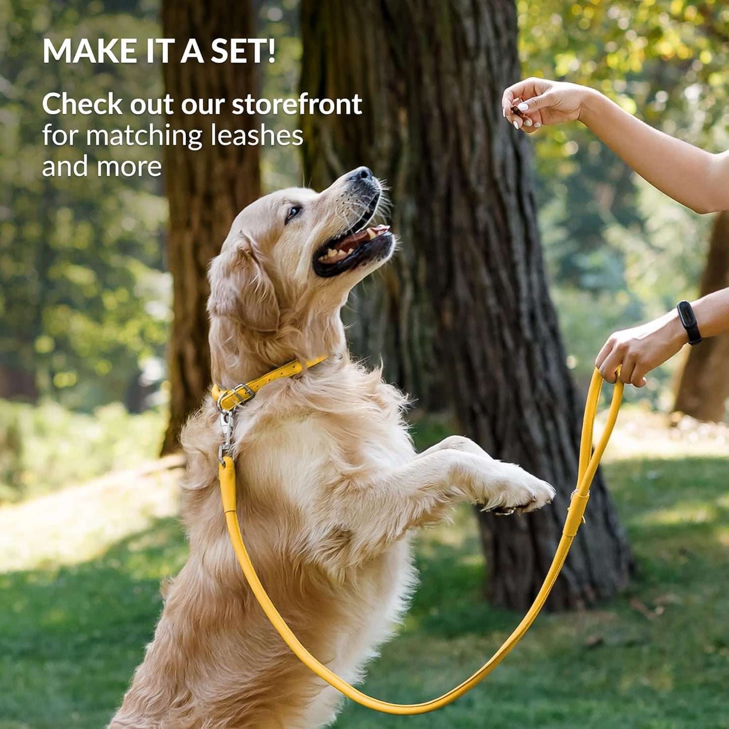 CollarDirect Rolled Leather Dog Collar, Soft Padded Round Puppy Collar, Handmade Genuine Leather Collar Dog Small Large Cat Collars 13 Colors (8-11 Inch, Yellow Smooth)