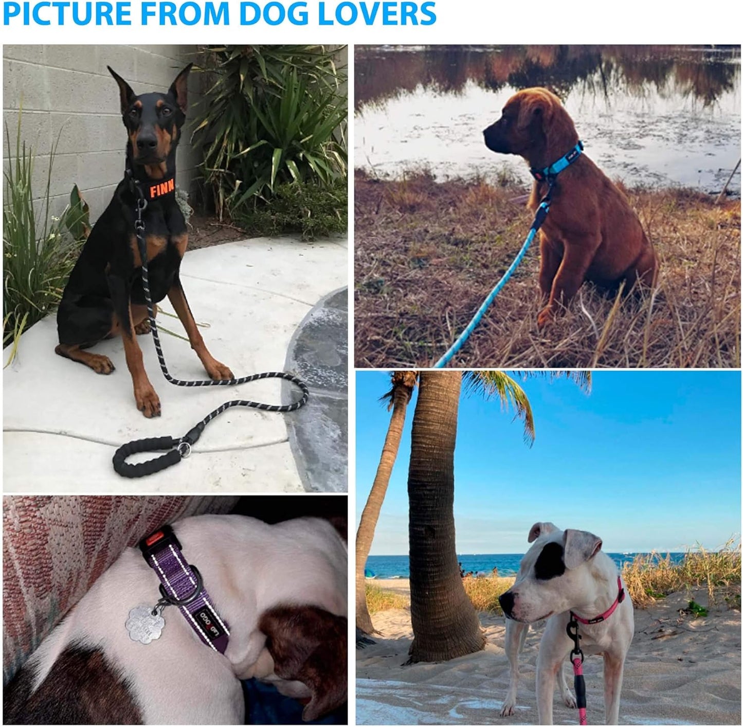 Heavy Duty Dog Leash - Comfortable Padded Handle, 5 ft Long - Dog Leashes for Small Medium Large Dogs (Leash+Collar S Neck 13.5"-16", Red)