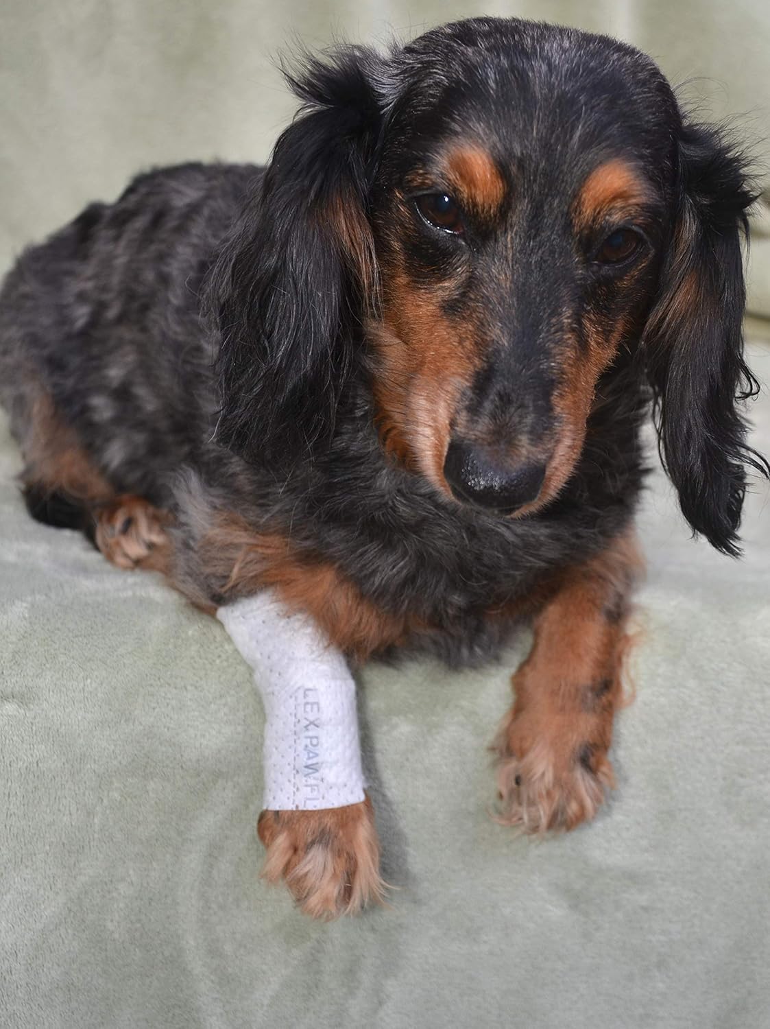 Protective Sleeve Tubular Cover - Bandages - for Dogs Cats and Other Pets First Aid Wound Care Comfortable Non-Adhesive Breathable & Water Resistant 12 Strips (yields 24-36 Covers)-(Medium)