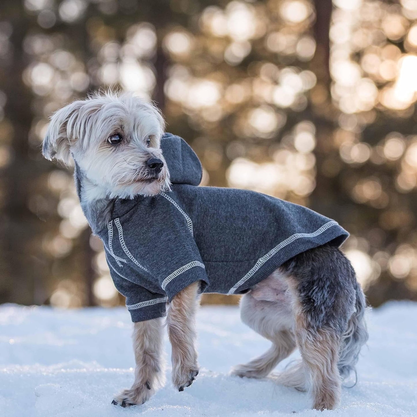 Blueberry Pet Essentials Dog Hoodie – 10 inch, Cotton‑Blend Sweatshirt with Hood, Charcoal Grey, Machine‑Washable Small‑Dog Jersey