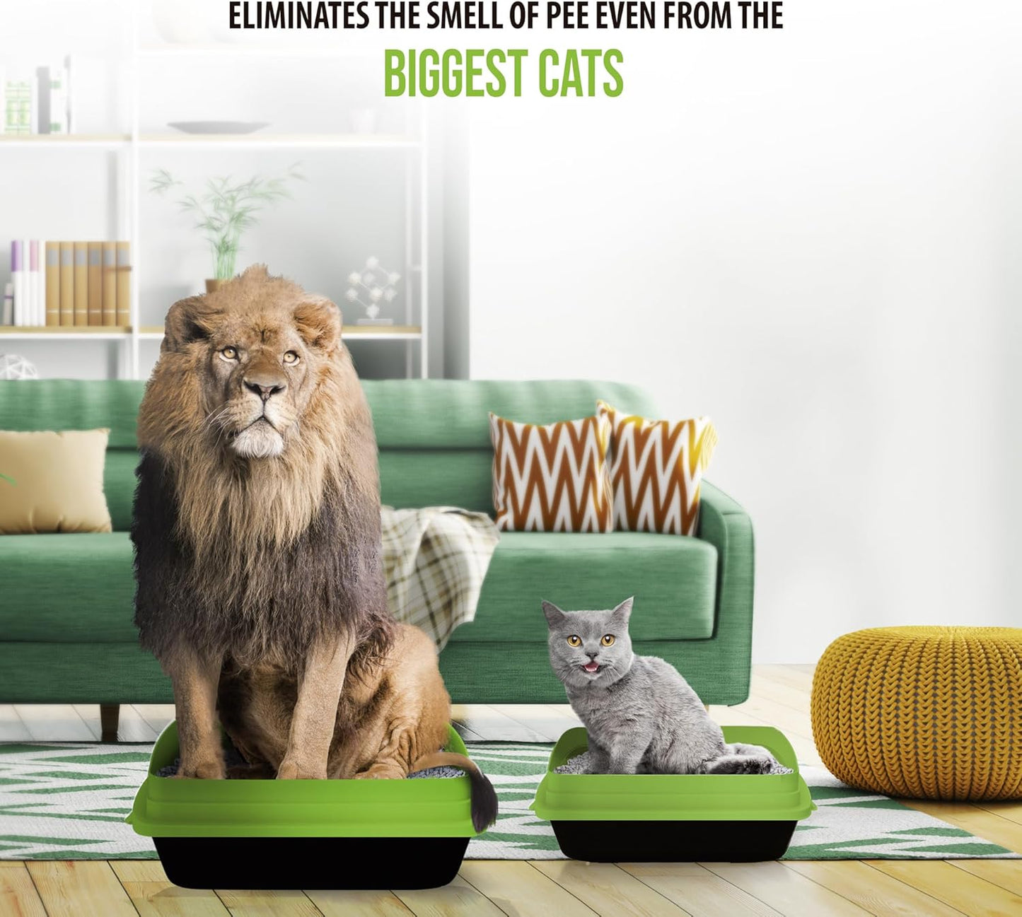 Skoon All Natural Cat Litter (1 Bag) - Original - Lightweight, Low Tracking, Non-Clumping Diatom Pebbles Absorb, Lock, and Seal Waste for Best Odor Control