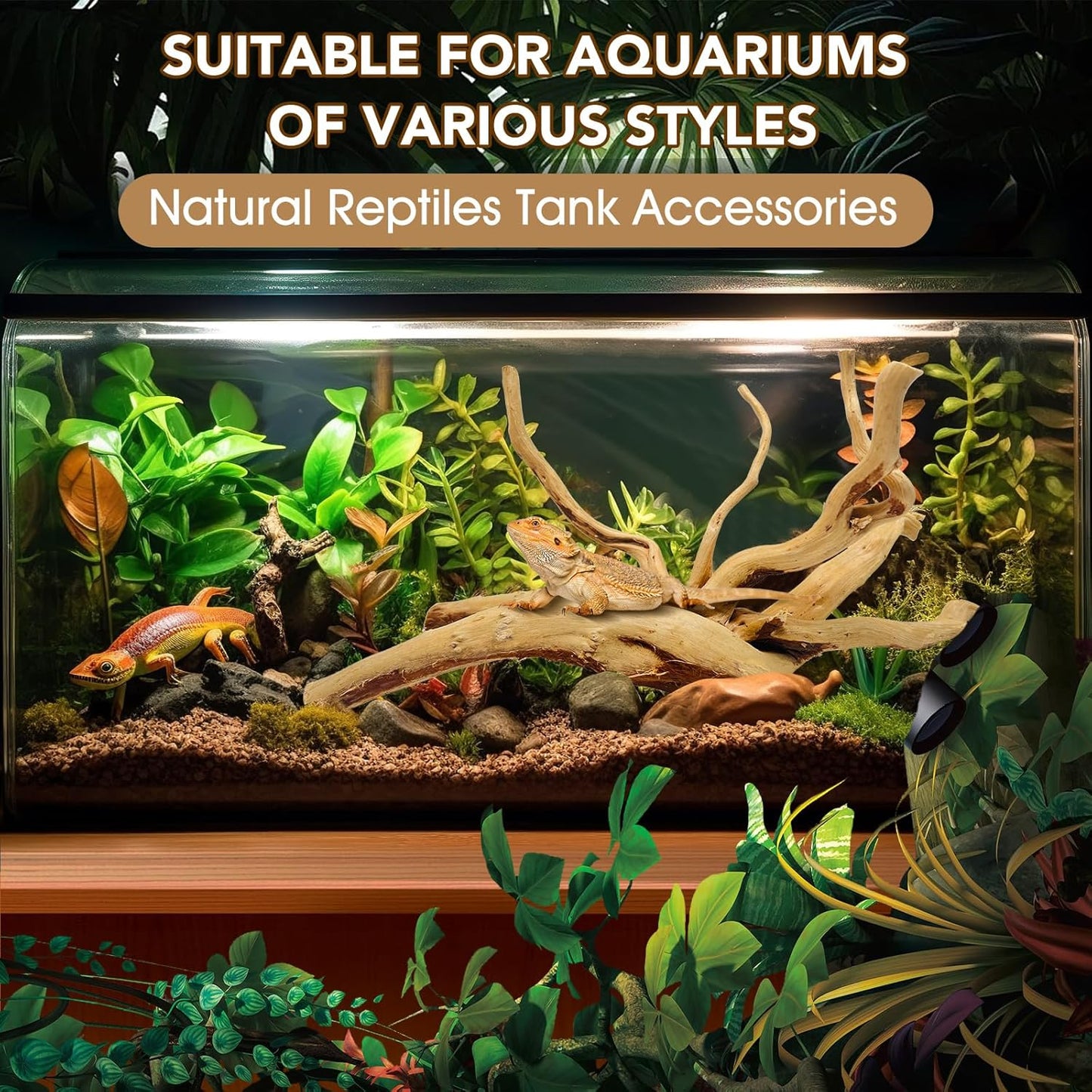 Natural Large Spiderwood Driftwood for Aquarium Decor Rptile Fish Tank Decoration Assort Branch 7-11'' 3 Pcs