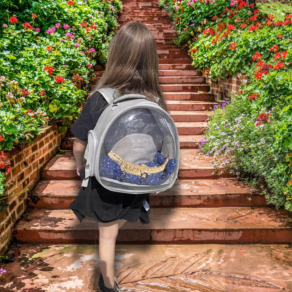 Guinea Pig Backpack Carrier, Reptile Outdoor Used,Bearded Dragon Carrier Backpack with Clear Bubble Window,Small Animal Travel Backpack for Hedgehog Rat Parrot, Airline Approved (Grey, Backpack)