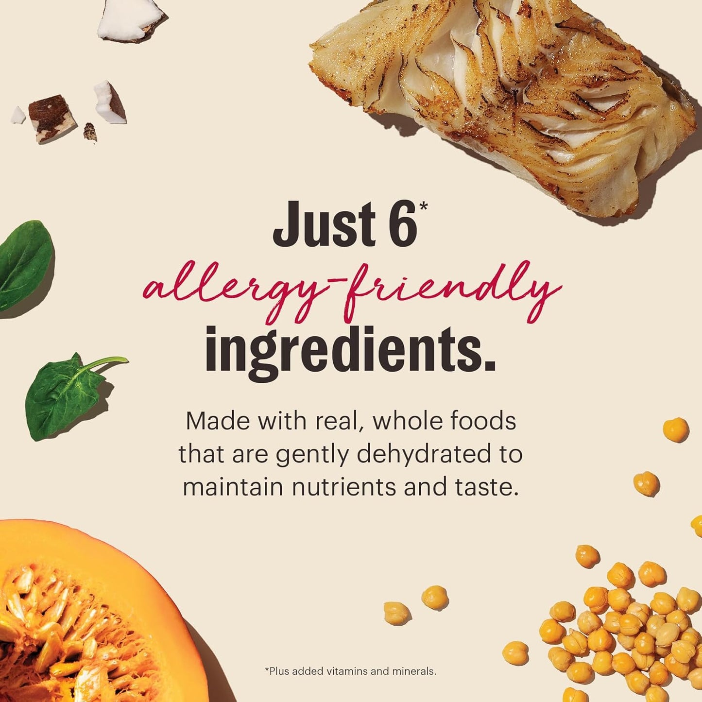 The Honest Kitchen Human Grade Wholemade™ Limited Ingredient Dehydrated Grain Free Fish Dog Food, 4lb