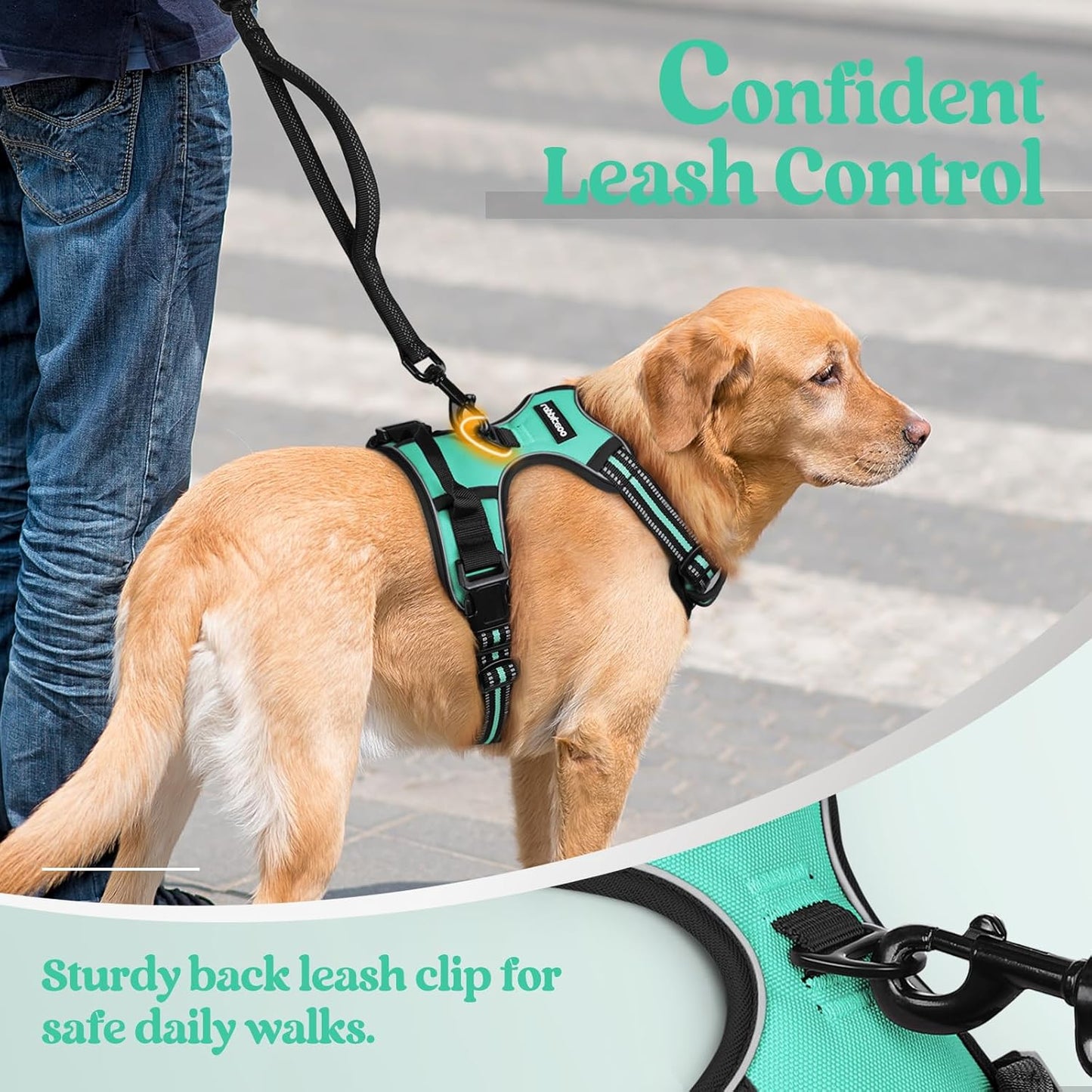 rabbitgoo Dog Harness No Pull with 2 Leash Clips, Adjustable Soft Padded, Reflective Oxford No Choke Pet Vest with Easy Control Handle for Large Dogs, Turquoise, L