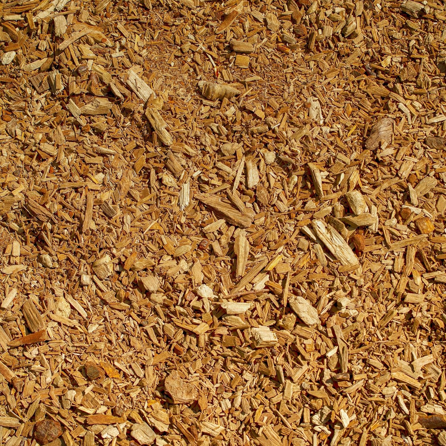 Gardening & Lawn Care