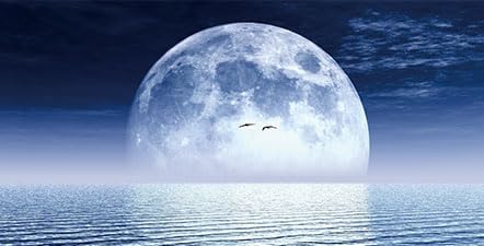 Moon Aquarium Background,Cool Sea Galaxy Parallel Space Themed Fish Tank Background, Cool Terrarium Background 48X20IN with 8 EVA Double-Sided Tape