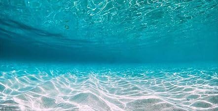 72X24IN Natural Undersea Aquarium Background, Undersea Beach Fish Tank Background, with 8 EVA Double-Sided Tape