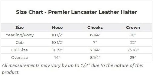 Schneiders Premier Lancaster Fixed Throat Leather Halter for Horses | 1" Single-Ply Leather | Lightweight Everyday Design | Brass Hardware