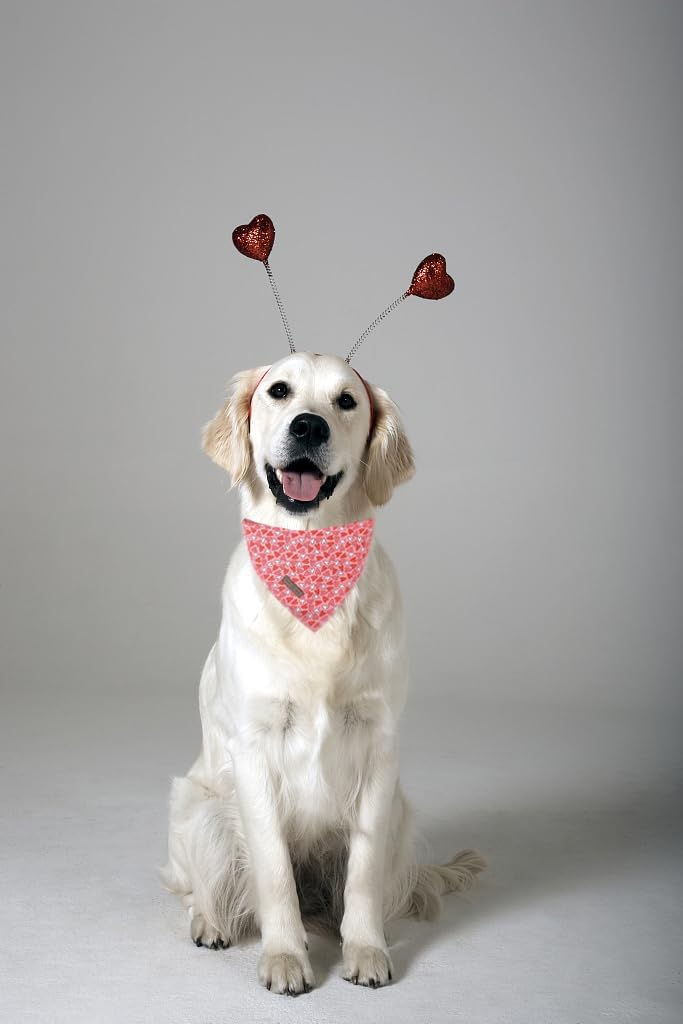 Lionet Paws Valentine Dog Bandana for Small Medium Dogs,Pink Hearts Kerchief Washable Dog Triangle Bibs Scarf for Girl or Boy Gift