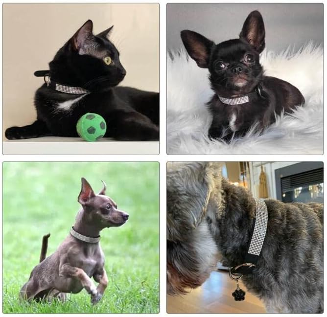 Dog Collar for Medium Dogs Female, Bling Diamond Fancy Crystal Glitter Pretty Jewel Rhinestone Puppy Dog Collars for Small Medium Large Breed Pet Girl Dogs Cats Kitten, Pink M Size