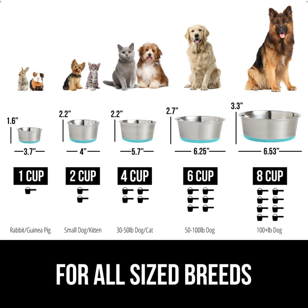 GORILLA GRIP Set of 2 Dog Bowls, Heavy Duty Metal Food and Water Bowl for Feeding Dogs and Cats, Dishwasher Safe, Rust Resistant Stainless Steel, BPA Free Rubber Base, Holds 1 Cup (8 fl oz), Turquoise