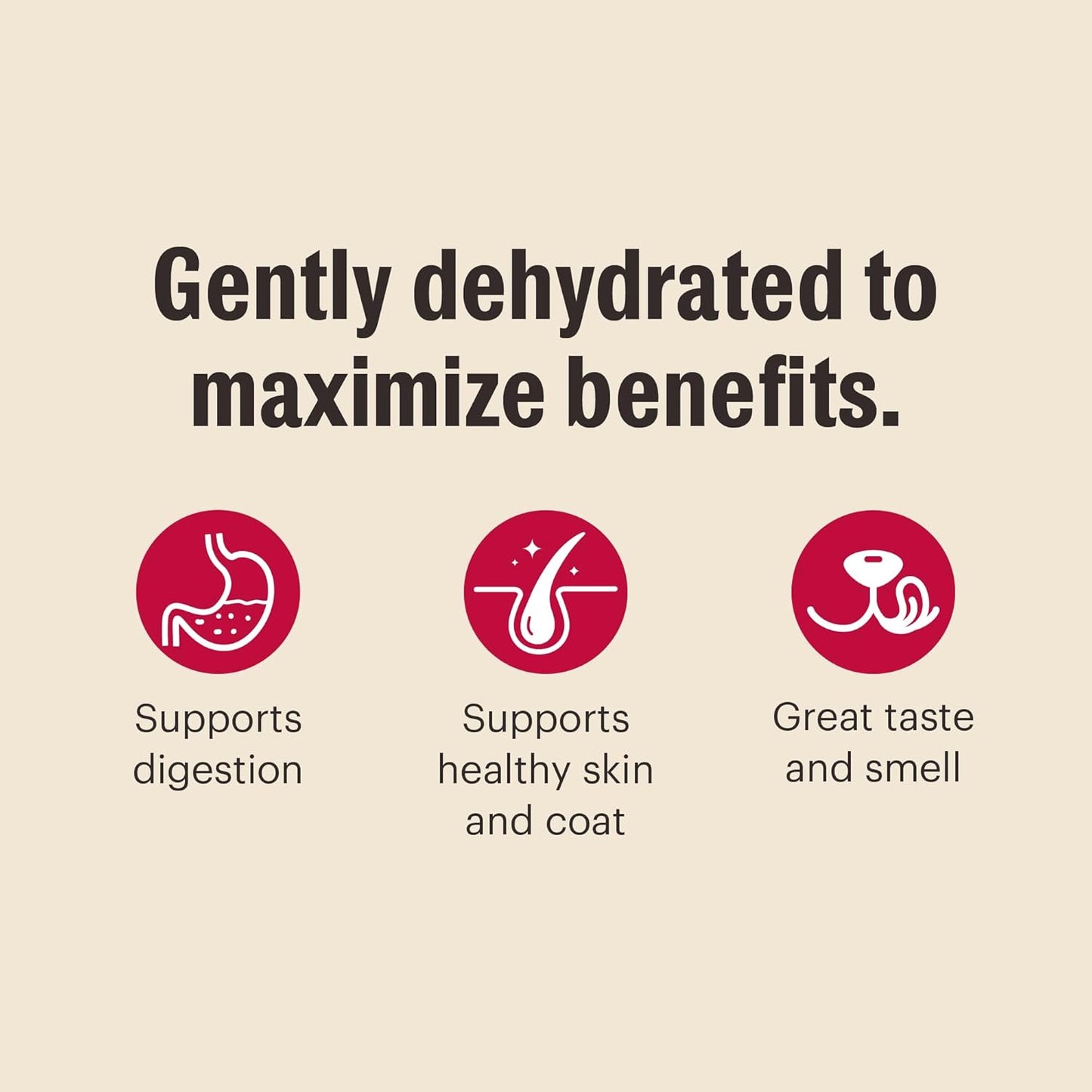 The Honest Kitchen Wholemade™ Grain Free Beef Dog Food, 2 lb Bag