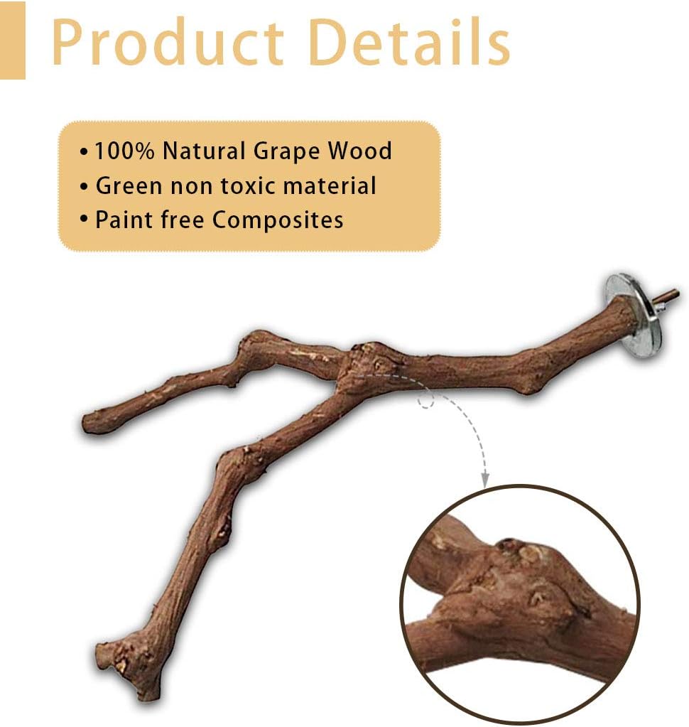 PINVNBY 2Pcs Wood Perches for Bird Cage,Natural Parrot Stand Branch Parakeet Paw Grinding Sticks Standing Grape Pole for Lovebirds Budgies Cockatiels Finches