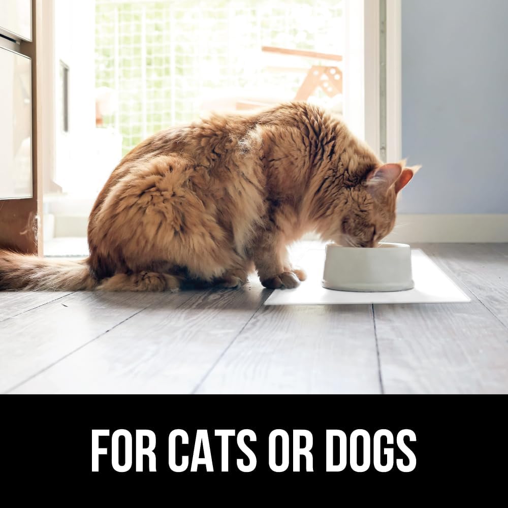 GORILLA GRIP 100% Waterproof Raised Edge BPA Free Silicone Pet Feeding Mat, Dog Cat Food Mats Contain Spills Protects Floors, Placemats for Cats and Dogs Water Bowl, Pets Accessories 18.5x11.5 White