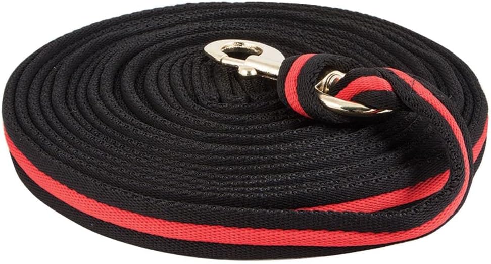 Dura-Tech Cushion Lunge Line for Horses | Stable Use & Horse Training | Horse Lunge Line with Snap | Durable Horse Lead Rope | 30 Foot Length | Replaceable Brass Snap