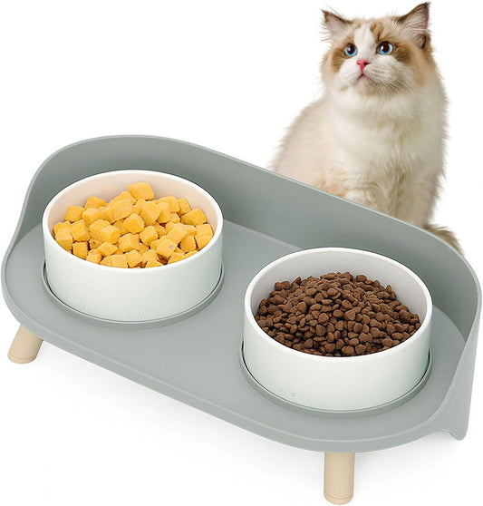 Elevated Dog Bowls Set, Ceramic Pet Food & Water Bowls with Non-Slip Stand, No Spill Design for Cats/Small Medium Dogs Gray