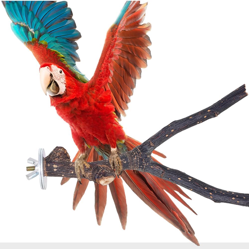 Libiline 8 Pieces Bird Perch Natural Wooden Parrot Perch Stand Fork Toys Hanging Multi-Branch Perches Platform Hammock Swing Toy for Macaws, Small Parakeets, Conures, Budgies, Finches (B-Color, Mix)