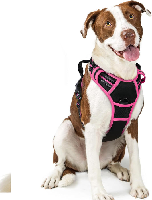 rabbitgoo Dog Harness No Pull with 2 Leash Clips, Adjustable Soft Padded, Reflective Oxford No Choke Pet Vest with Easy Control Handle for Large Dogs, Black & Hot Pink, L